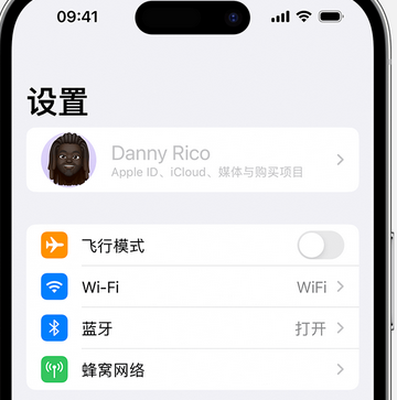 三道镇appleID维修服务iPhone设置中Apple ID显示为灰色无法使用 