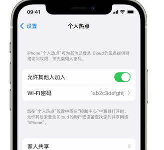 三道镇apple服务站点分享iPhone上个人热点丢失了怎么办 