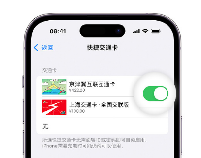 三道镇apple维修点分享iPhone上更换Apple Pay快捷交通卡手绘卡面 