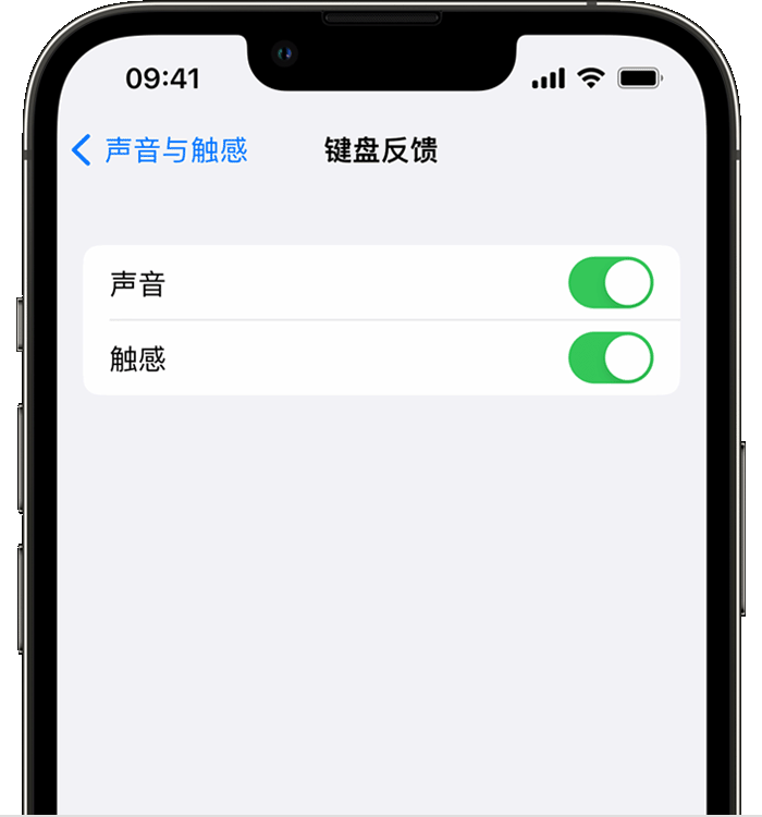 三道镇苹果14维修店分享如何在 iPhone 14 机型中使用触感键盘 