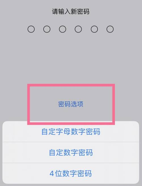 三道镇苹果14维修分享iPhone 14plus设置密码的方法 