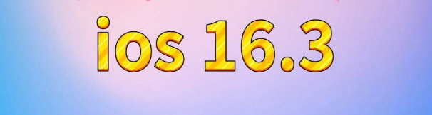 三道镇苹果服务网点分享苹果iOS16.3升级反馈汇总 