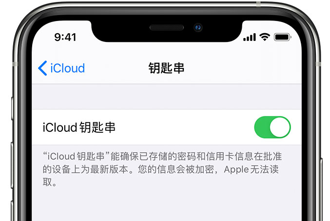 三道镇苹果手机维修分享在 iPhone 上开启 iCloud 钥匙串之后会储存哪些信息 