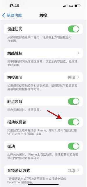 三道镇苹果手机维修分享iPhone手机如何设置摇一摇删除文字 